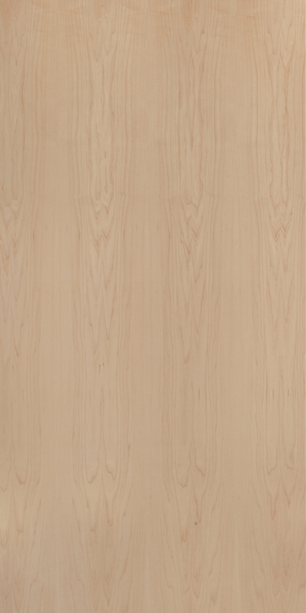 American Maple Crown Cut Natural Veneer