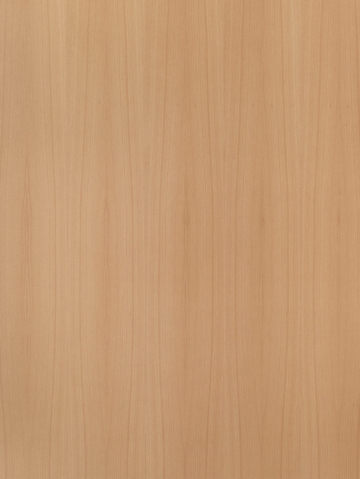 European Beech Quarter Cut Natural Veneer