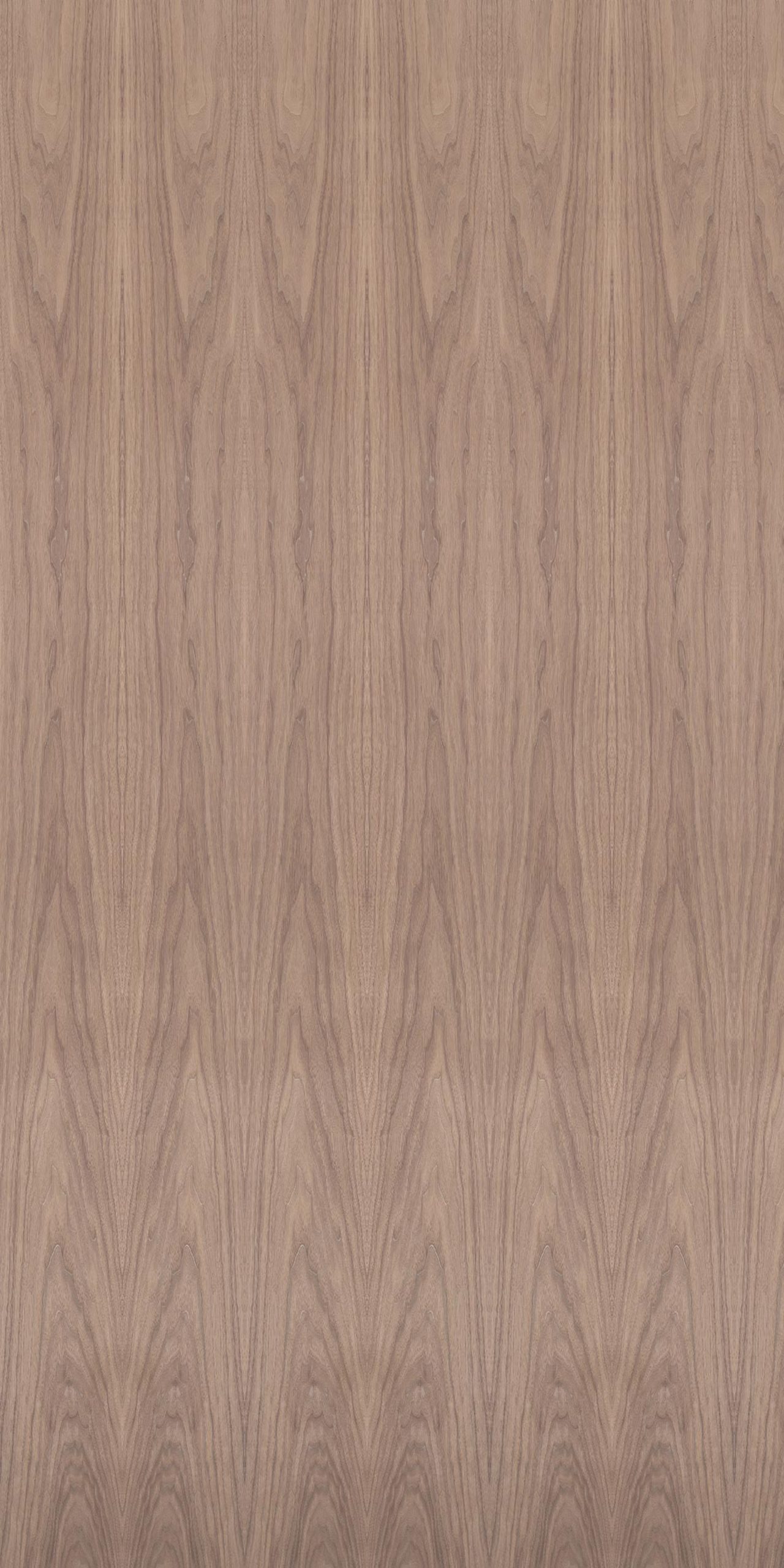 American Walnut Crown Cut Labos American Walnut Crown Cut Labos